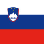 Растаможка товаров из Словении